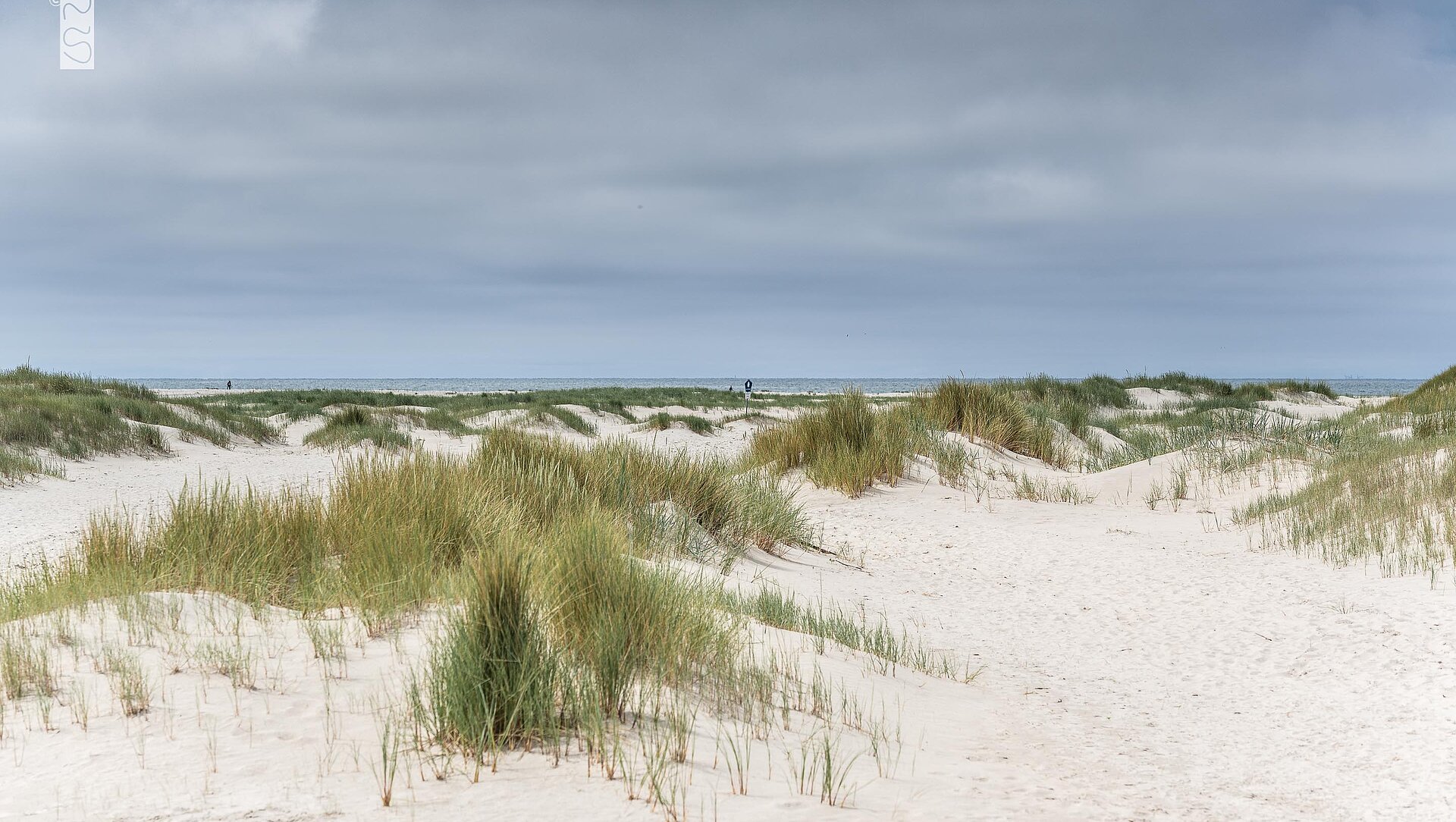Nordseeurlaub auf Juist - Dünen und naturbelassener Strand